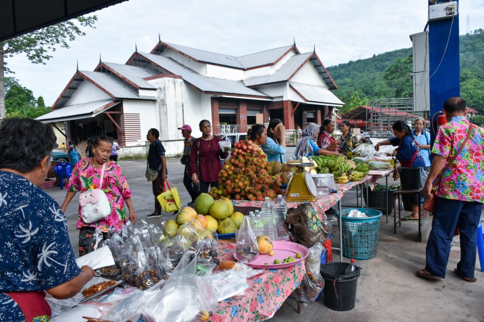  ตลาดนัดชุมชนคนพอเพียง ส่งเสริมการท่องเที่ยวตำบลวังนกแอ่น